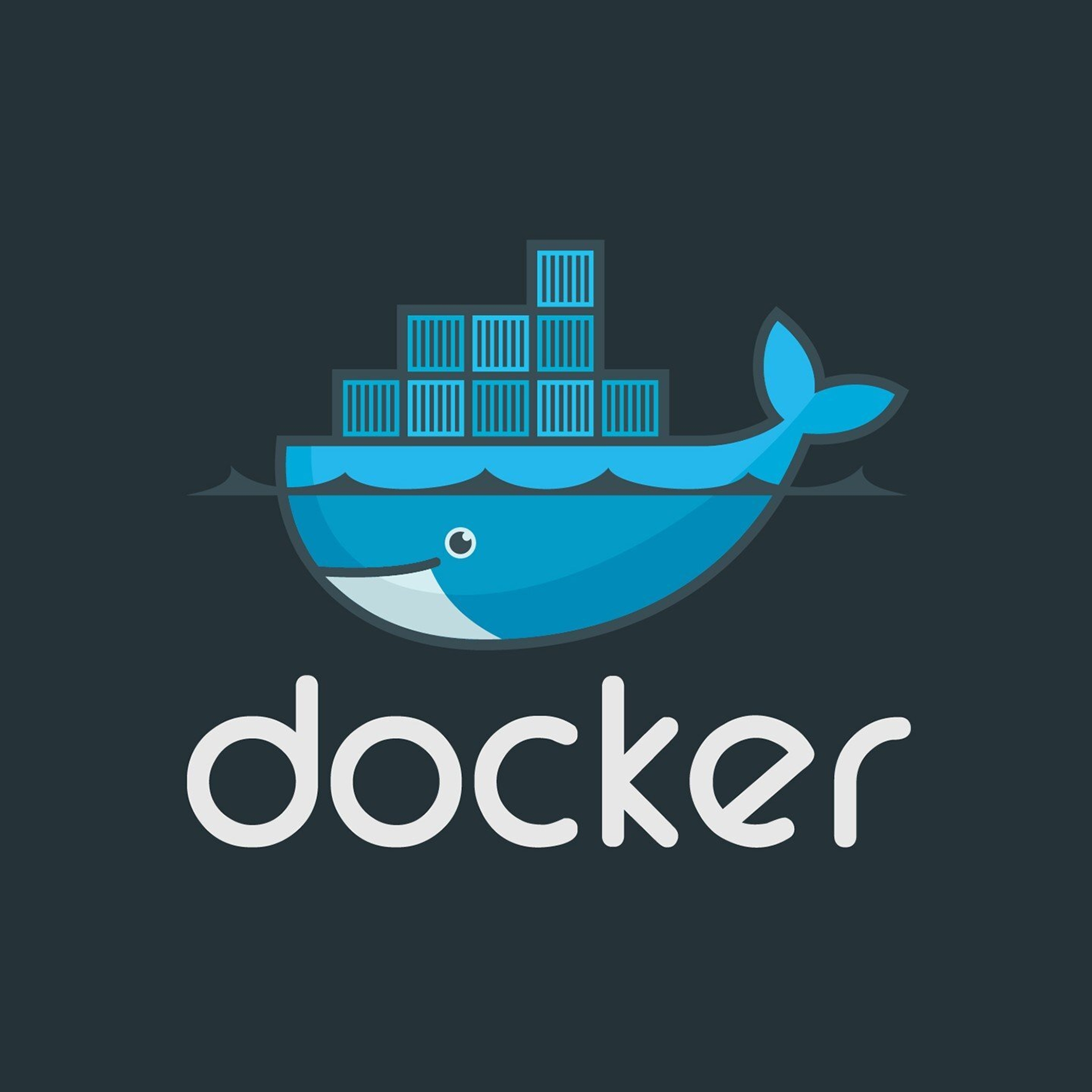 Docker p 80 80